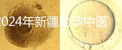 2024年新疆助孕中醫(yī)數(shù)不勝數(shù)，頂尖專家技能水平高