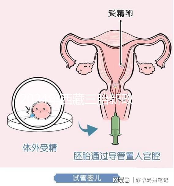 2024年西藏三胎新政策出臺，拉薩、日喀則產(chǎn)假戳多久？
