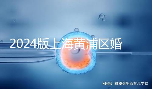 2024版上海黃浦區(qū)婚檢預(yù)約指南，包括詳細的流程和費用