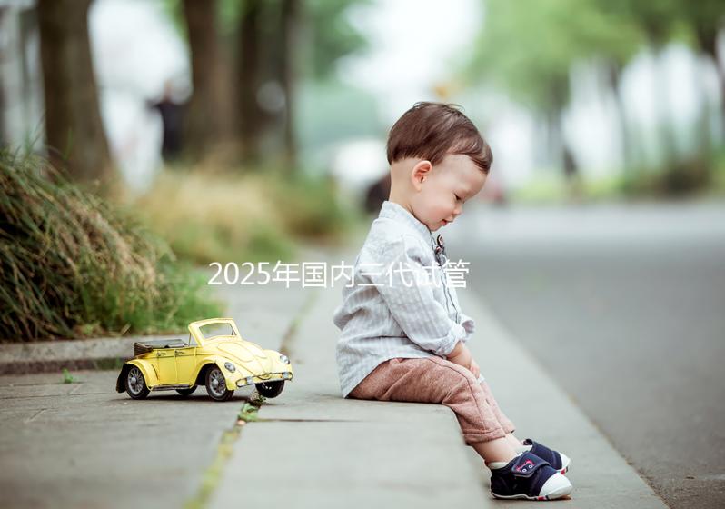 2025年國內(nèi)三代試管嬰兒公立醫(yī)院排名前十有哪些?