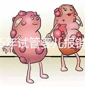 2025年試管嬰兒報(bào)銷(xiāo)多少(做試管可以報(bào)銷(xiāo)醫(yī)保嗎)