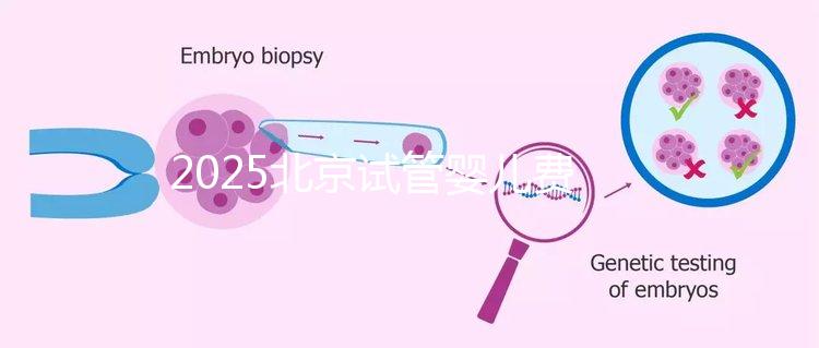 2025北京試管嬰兒費(fèi)用全解析：價格明細(xì)及省錢指南