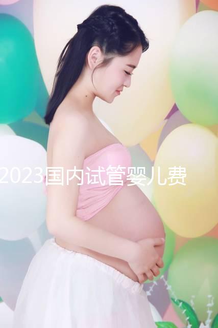 2023國(guó)內(nèi)試管嬰兒費(fèi)用明細(xì)表一覽,4大項(xiàng)目不同花費(fèi)get
