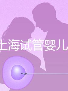 2022上海試管嬰兒費用清單(附19家醫(yī)院收費標(biāo)準(zhǔn))