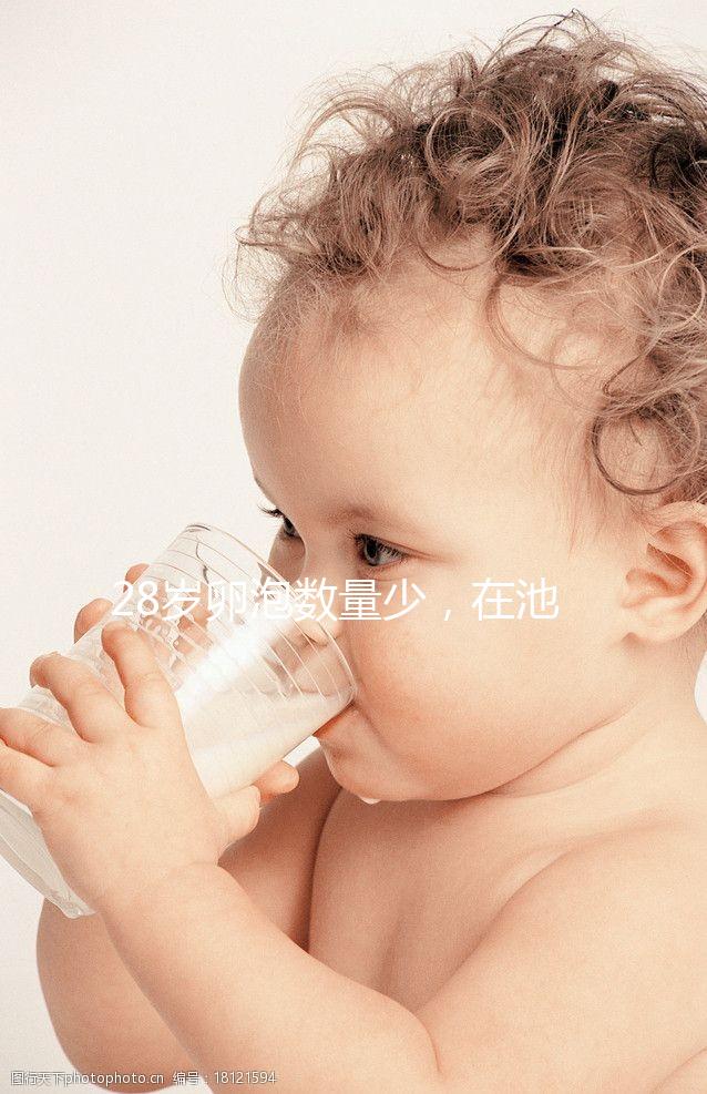 28歲卵泡數(shù)量少,在池州能不能做試管嬰兒?