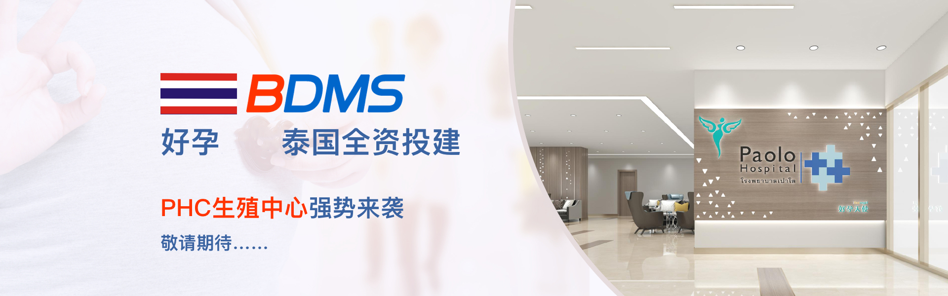 泰國試管嬰兒中介